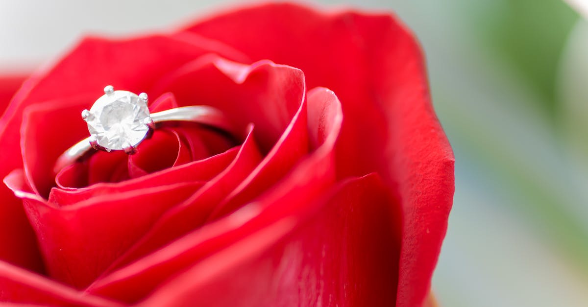 découvrez la puissance et la beauté de l'amour à travers nos articles, conseils et histoires inspirantes qui célèbrent les liens du cœur.