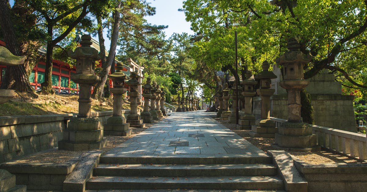 découvrez pourquoi les contraires s'attirent et comment les différences peuvent renforcer les relations. explorez la dynamique fascinante des opposés dans nos vies.