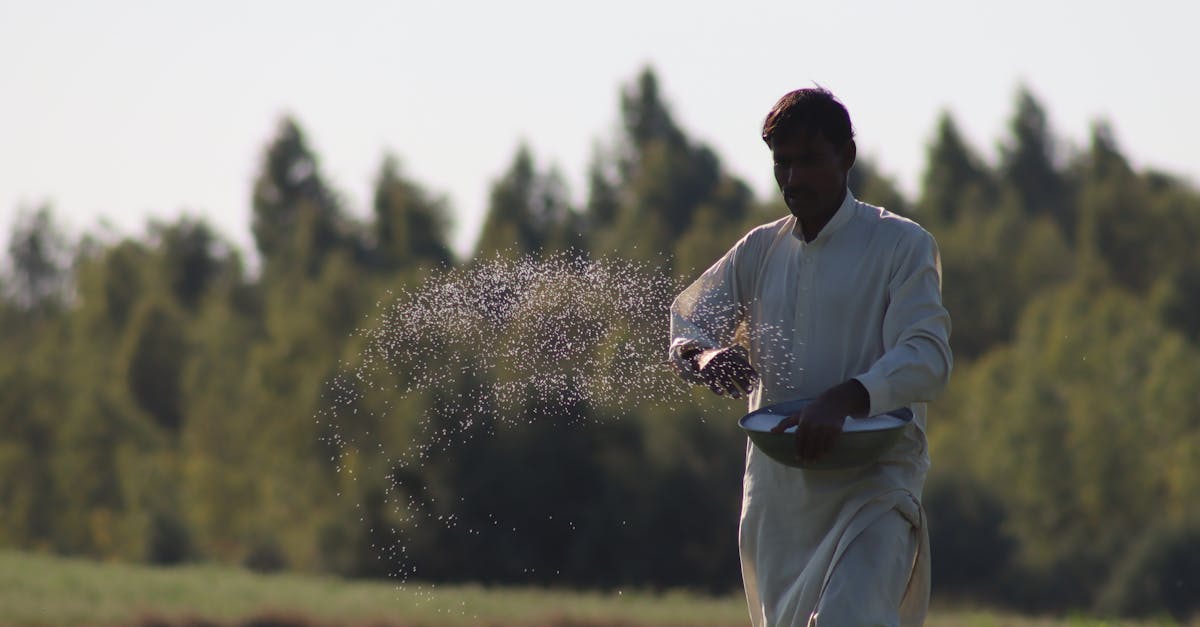 découvrez les pratiques de l'agriculture biologique pour cultiver des aliments sains, respectueux de l'environnement et sans produits chimiques.