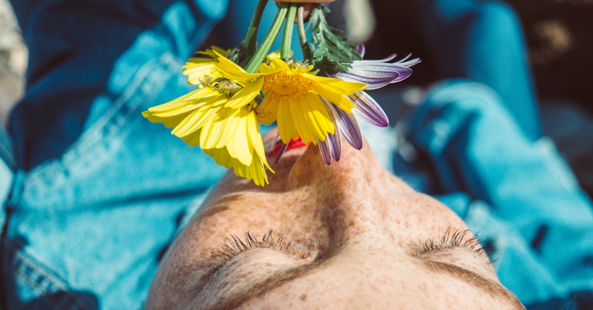 découvrez plant sensation, votre destination pour des plantes d'intérieur et d'extérieur de qualité, ainsi que des conseils pour un jardin épanoui.