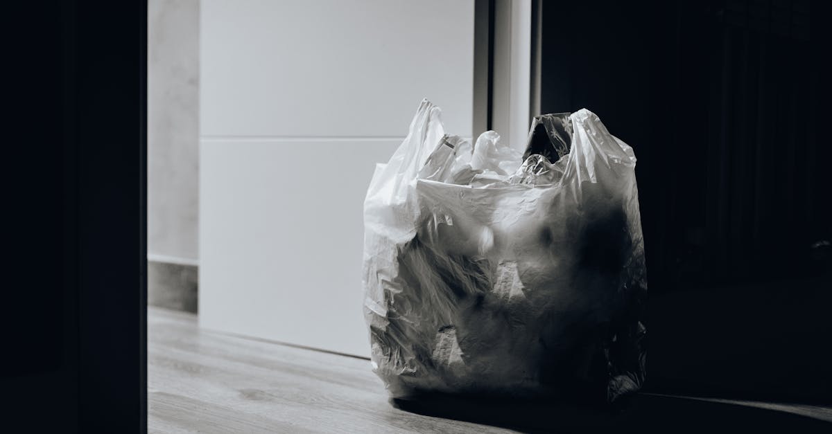 découvrez l'importance du recyclage pour protéger l'environnement et réduire les déchets. adoptez des gestes simples pour un avenir durable.