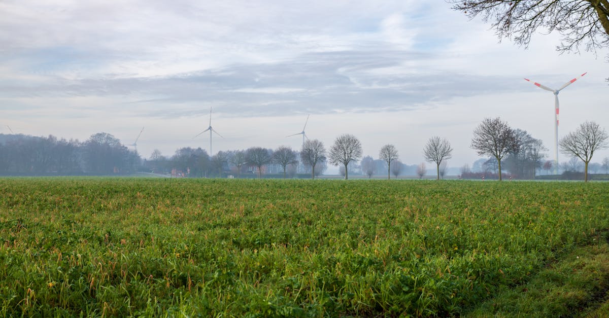 découvrez comment les éoliennes convertissent le vent en énergie propre et renouvelable, contribuant à un avenir durable.