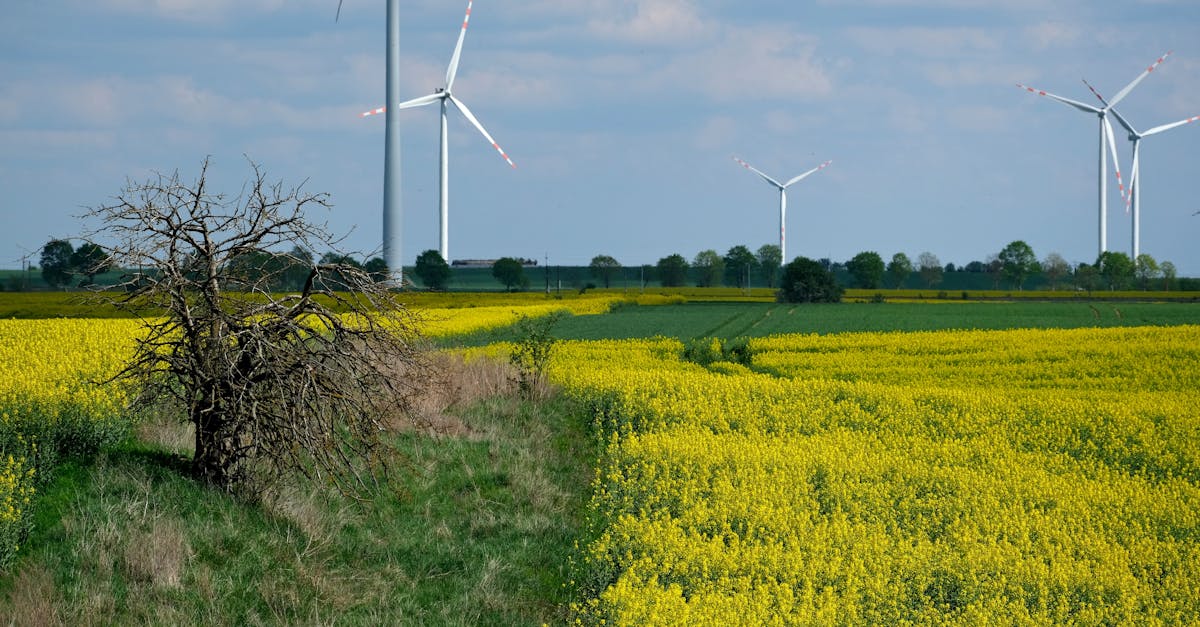 découvrez tout sur les éoliennes, leur fonctionnement, leurs avantages écologiques et leur rôle dans la production d'énergie renouvelable.