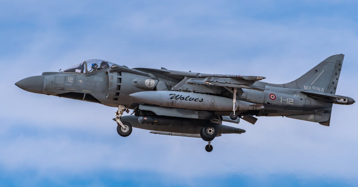 découvrez le son envoûtant des loups hurlants, un phénomène naturel captivant qui révèle la communication et la vie sociale de ces magnifiques animaux sauvages.