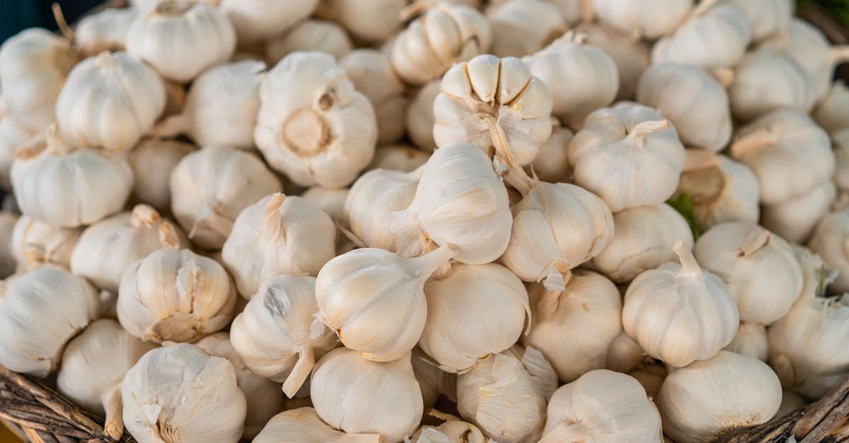 découvrez le black garlic, l'ail noir aux saveurs douces et umami, riche en antioxydants, idéal pour sublimer vos plats santé et gourmands.