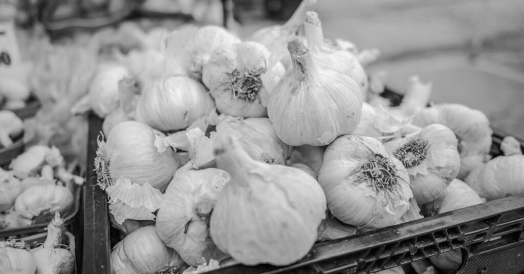 découvrez l'ail noir, un ingrédient naturel aux saveurs douces et complexes, riche en antioxydants, idéal pour sublimer vos plats culinaires.