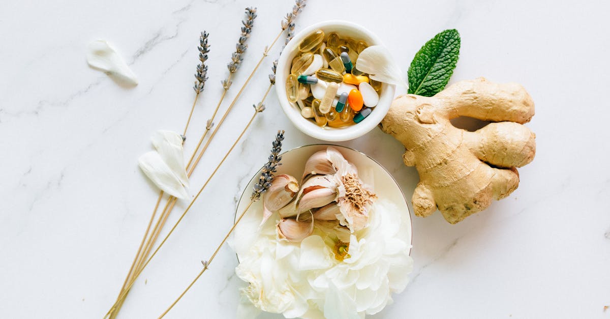 découvrez les bienfaits du ail noir pour la santé : antioxydants puissants, renforcement du système immunitaire et amélioration de la digestion.