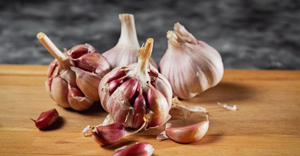 découvrez les bienfaits de l'ail, un ingrédient naturel aux vertus médicinales et culinaires, idéal pour rehausser la saveur de vos plats.