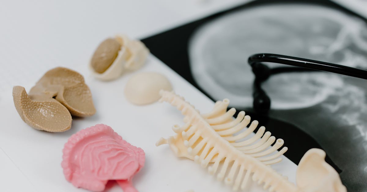 découvrez l'importance du microbiome intestinal pour la santé digestive et générale, et comment favoriser un équilibre optimal de vos bactéries intestinales.