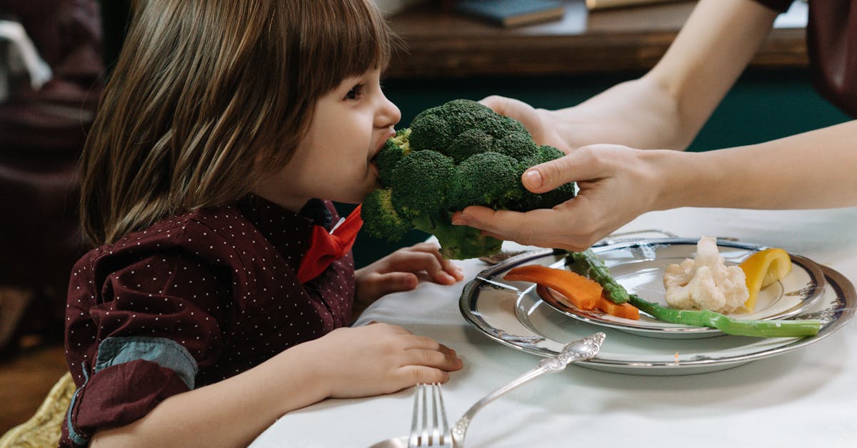 découvrez optimal nutrition, votre partenaire pour une alimentation équilibrée et saine, adaptée à vos besoins pour une meilleure forme et bien-être.