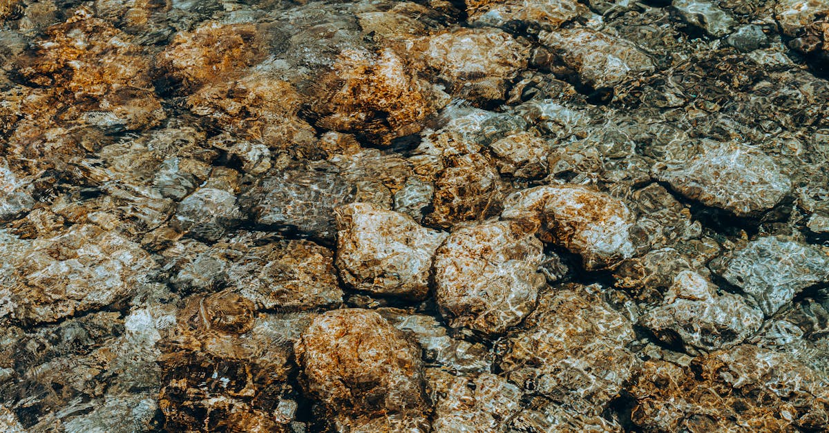 découvrez le tryptophane, un acide aminé essentiel aux multiples bienfaits pour la santé, notamment la régulation de l'humeur et la qualité du sommeil.