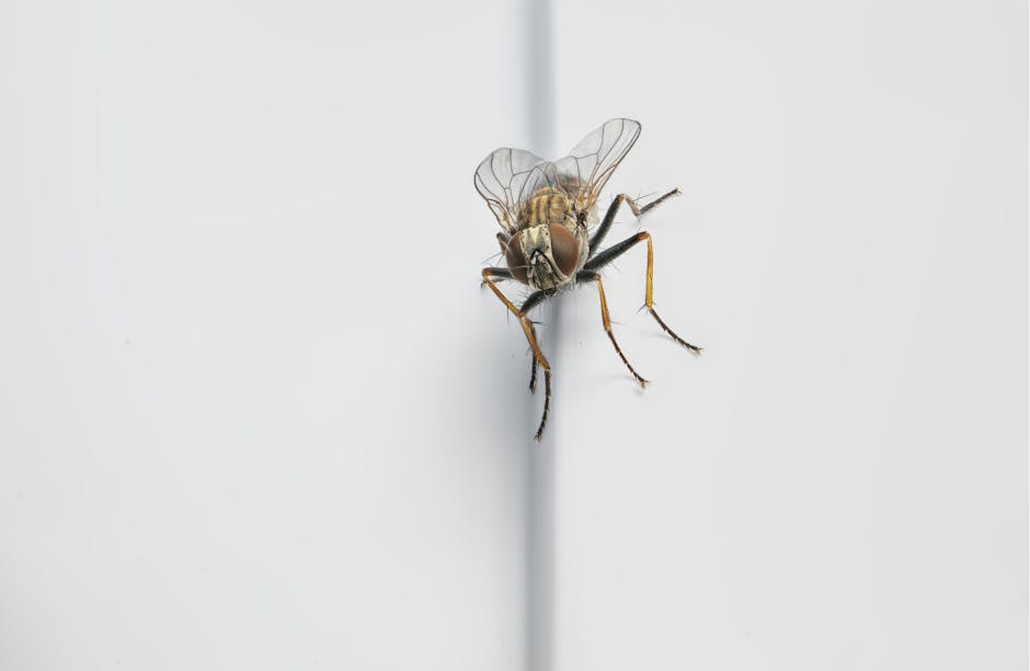 Drone inspired by insect flight in a laboratory setting