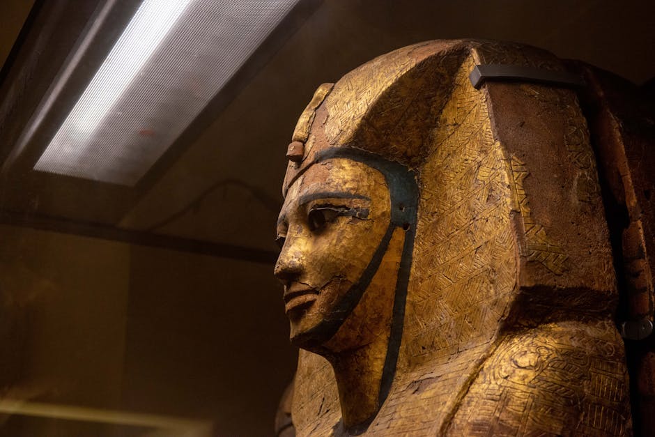 Ramsès II mummy transport in a museum conservation setting
