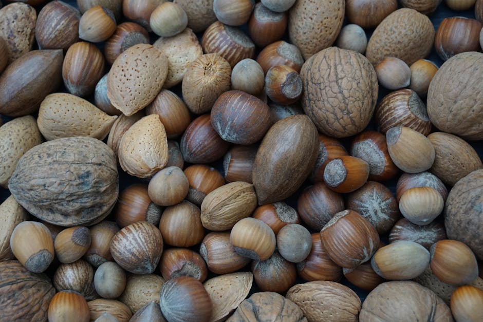 Assortment of tree nuts in shells on a wooden surface