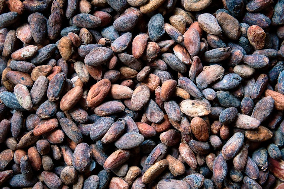 Tablette de chocolat noir, poudre de cacao et fèves de cacao