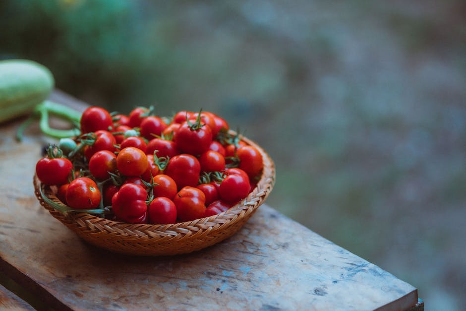 Ancient tomato harvest in a Mediterranean garden