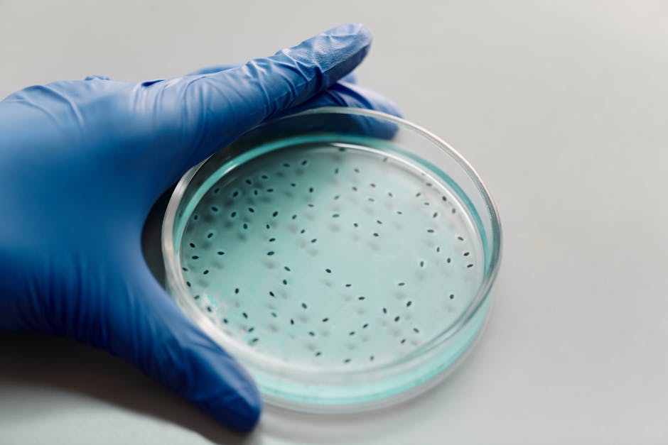 Scientist analyzing bacteria in a laboratory petri dish