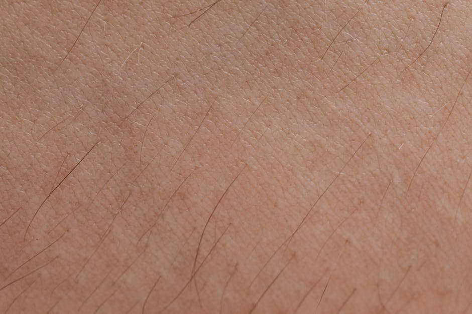 Skin layers cross section showing light scattering and absorption in tissue
