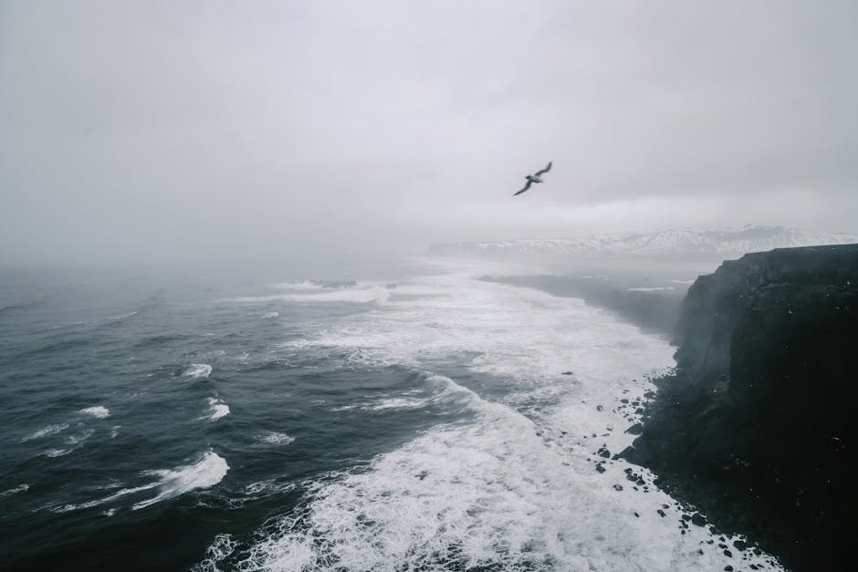 Viking longship sailing across a cold North Atlantic sea toward distant land