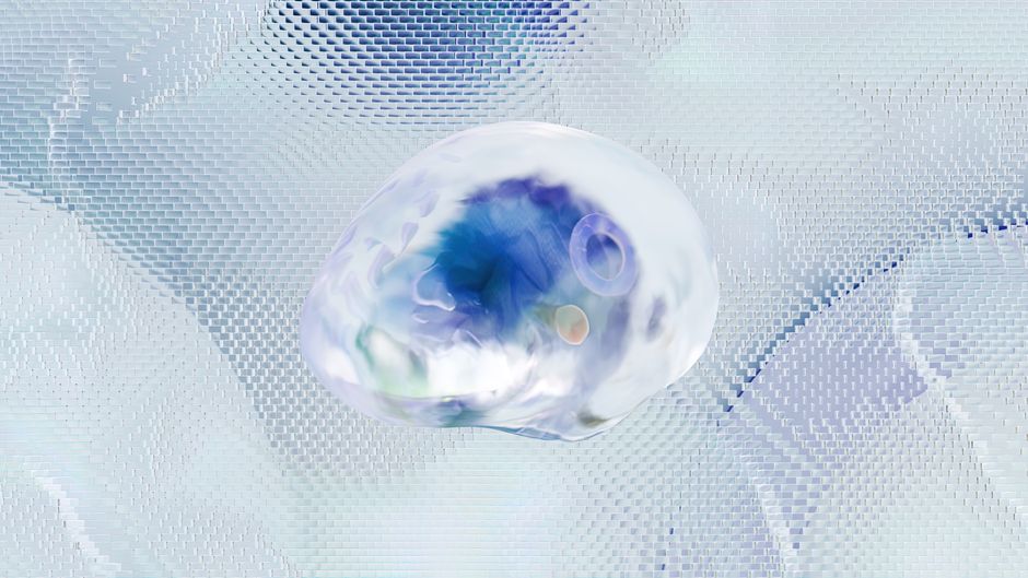 Schéma du cerveau d’un écureuil et mémoire spatiale
