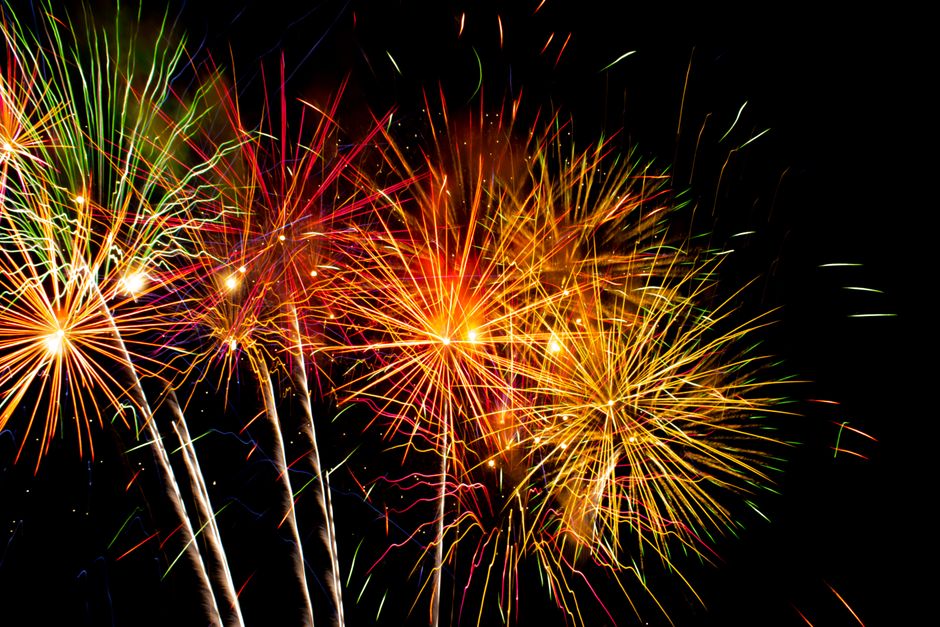 Les baleines échouées explosent-elles vraiment ? Ce que disent les faits, pas les mythes Colorful fireworks explode in the night sky, creating a vivid display of light and color.