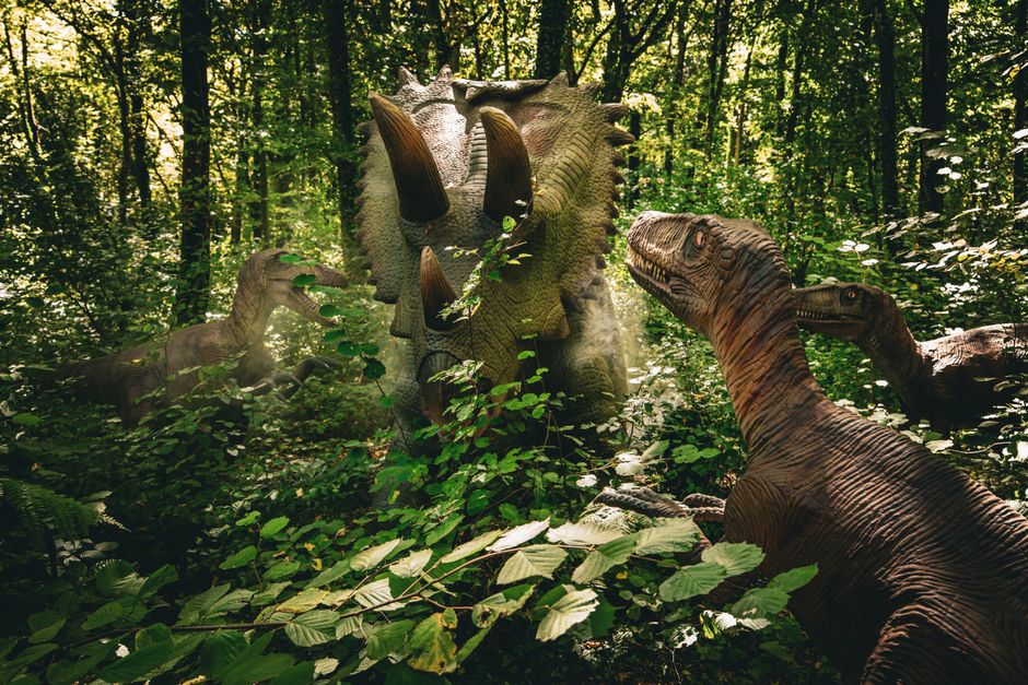 Forêt ancienne avec premiers arbres et végétation primitive