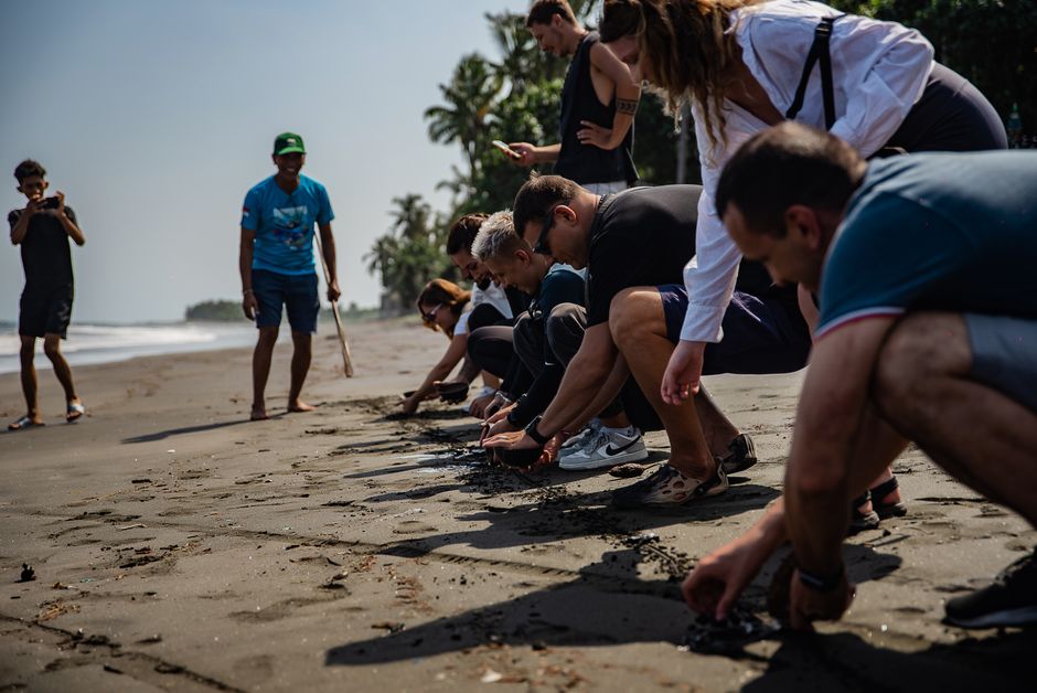 Beach cleanup or cordoned-off shoreline with a large marine animal carcass