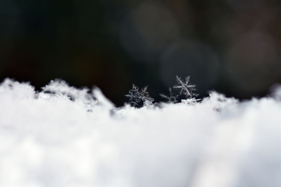 Gros plan sur des flocons de neige et une texture de neige fine