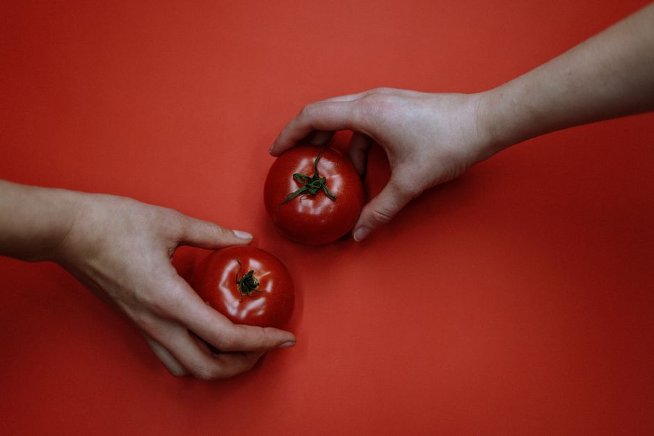 Tomate : fruit ou légume en droit ? L’affaire qui a fini à la Cour suprême Two hands holding fresh red tomatoes on a vibrant red background in a minimalist style.