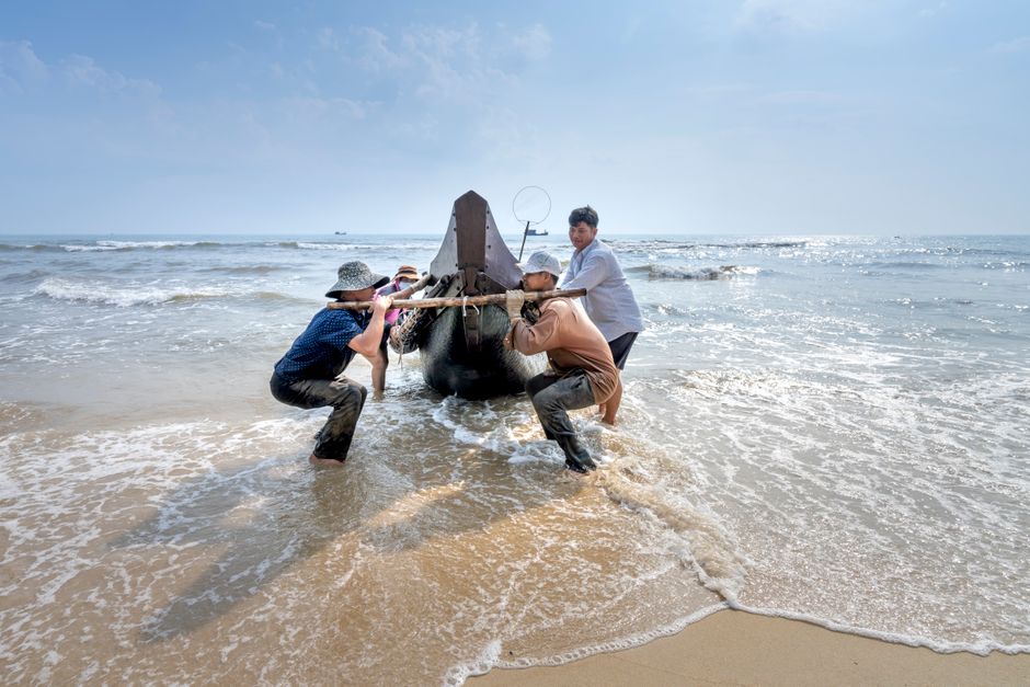 Scientists or workers handling a whale carcass on a beach