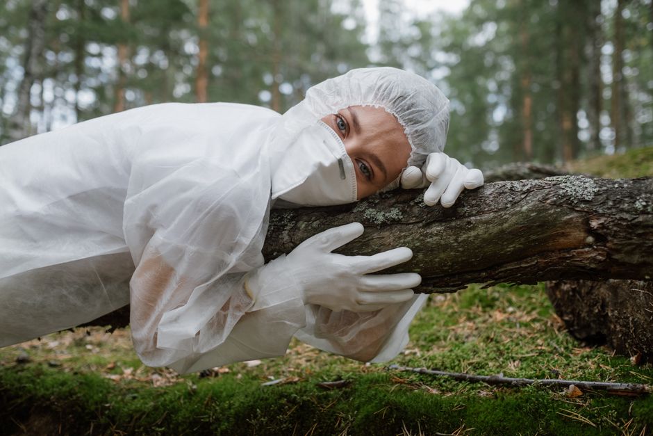 Scientist measuring electrical signals on a tree trunk in a forest