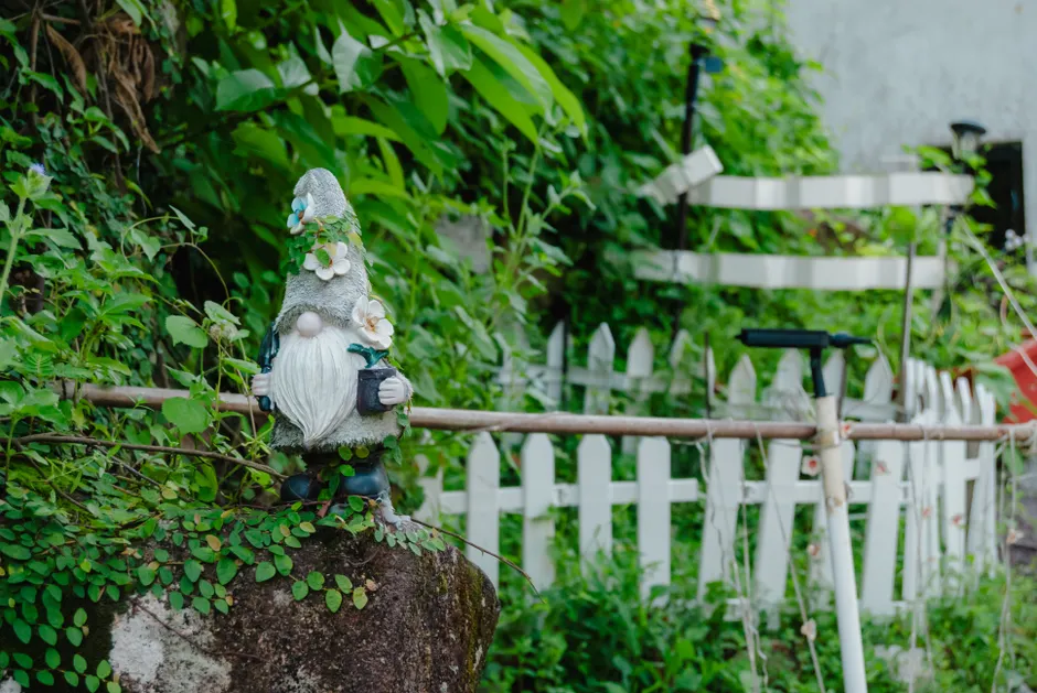 A whimsical garden gnome atop a rock surrounded by vibrant green plants and a white fence.