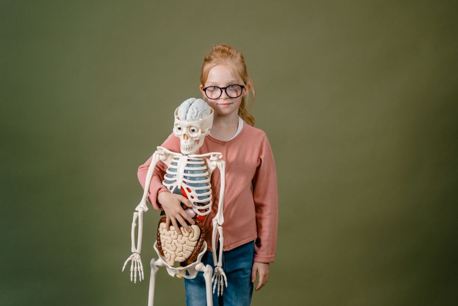 Le lait est-il vraiment indispensable aux os? A young girl with glasses proudly holds a skeleton model against a green backdrop.