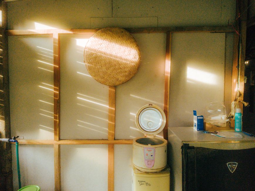 Réchauffer du riz est-il vraiment risqué? Le rôle de Bacillus cereus Vintage style kitchen with a rice cooker and sunlight streaming through, creating a nostalgic ambiance.