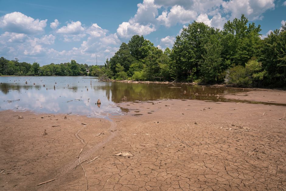 Mars a-t-elle vraiment abrité la vie? Les indices passés au crible A parched lakebed and forested shoreline under a bright, cloudy sky.