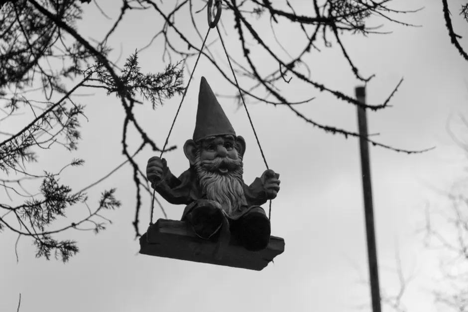 A whimsical garden gnome swings among tree branches in a black and white setting.