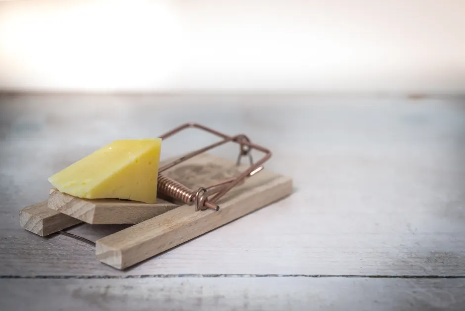 Les rats sont-ils vraiment attirés par le fromage? Close-up of a wooden mousetrap with a piece of cheese on a rustic table surface.