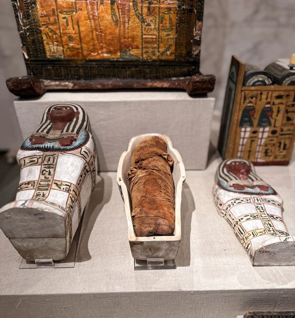 Exhibit showcasing ancient Egyptian mummies and sarcophagi. Perfect for history enthusiasts.