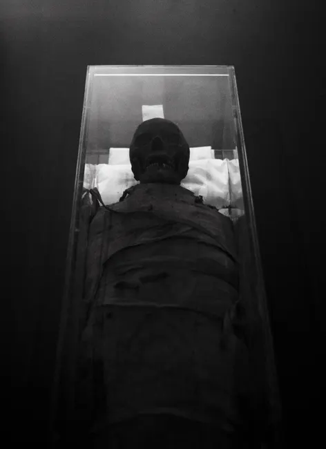 Explore the mysterious allure of an ancient mummy in this black and white museum exhibit.