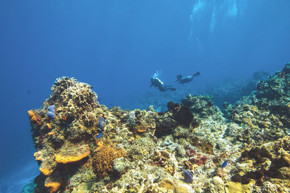 Two scuba divers explore vibrant coral reefs in clear ocean waters.