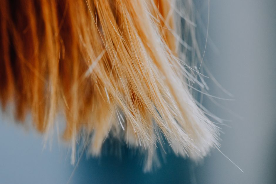 Le stress peut-il vraiment faire blanchir les cheveux? A detailed close-up of blonde hair strands with a soft and delicate focus, capturing the texture.
