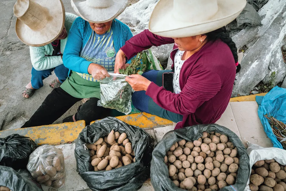Les pommes de terre sont-elles originaires d’Irlande? Women in traditional hats sell potatoes and herbs at an outdoor market in Simbal, Peru.
